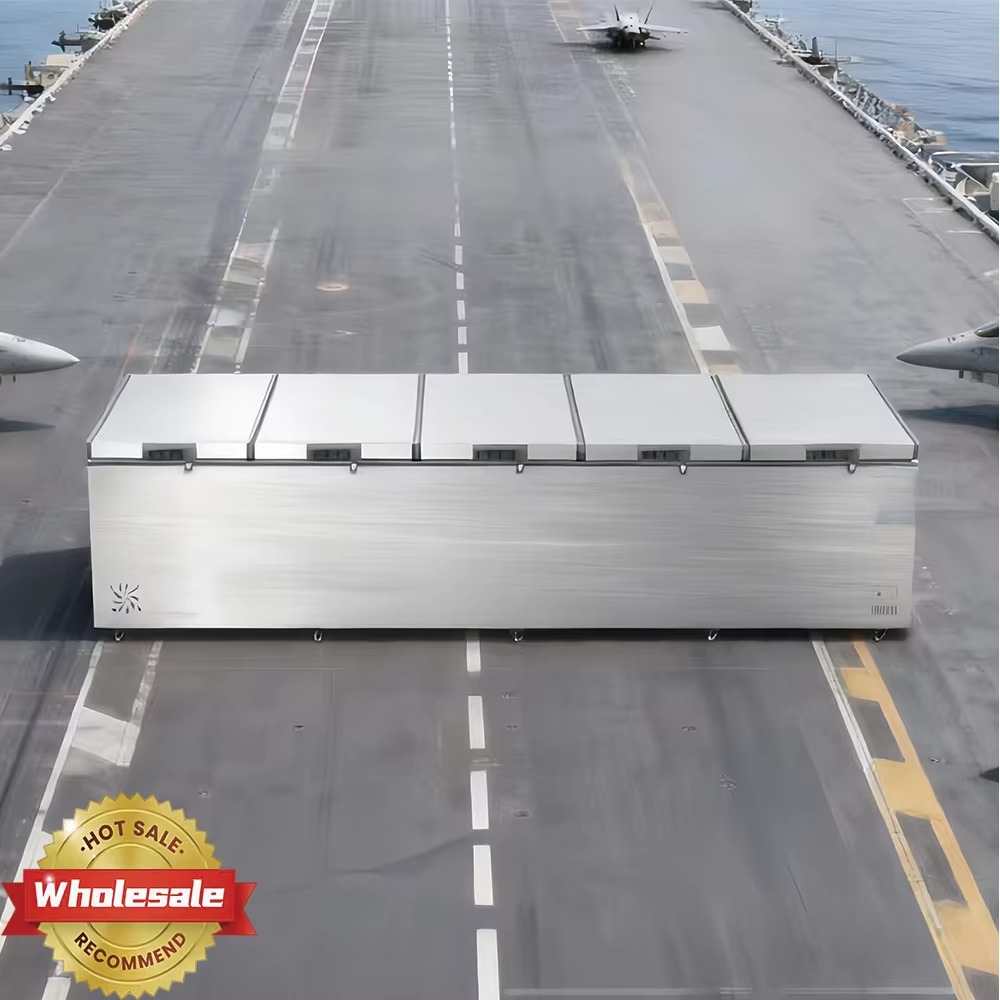 Factory Direct Horizontal Free - Commercial Chest Freezer ulasan dan harga