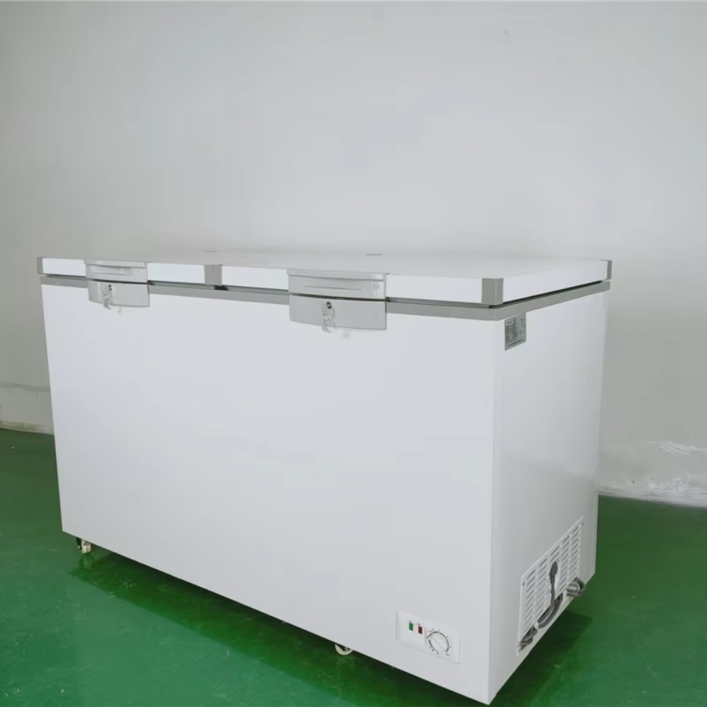Double Doors Horizontal Freeze - Commercial Chest Freezer ulasan dan harga