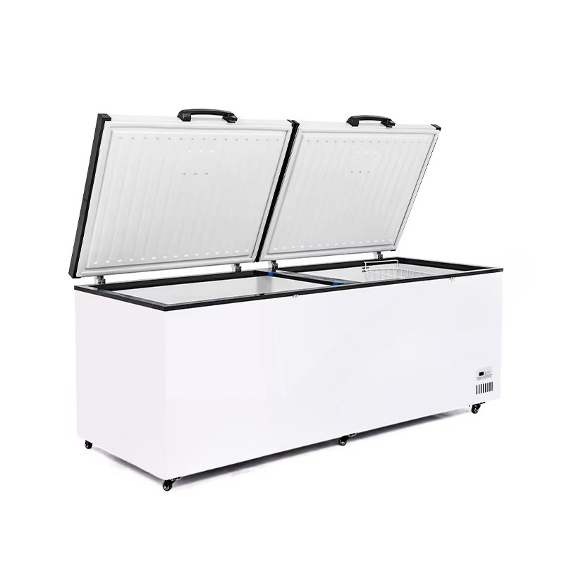 Brand New 718 Litre 2-Door Com - Commercial Chest Freezer ulasan dan harga