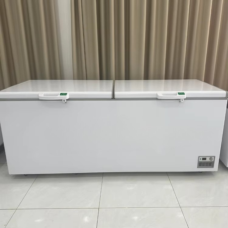 Brand New 718 Litre 2-Door Com - Commercial Chest Freezer ulasan dan harga