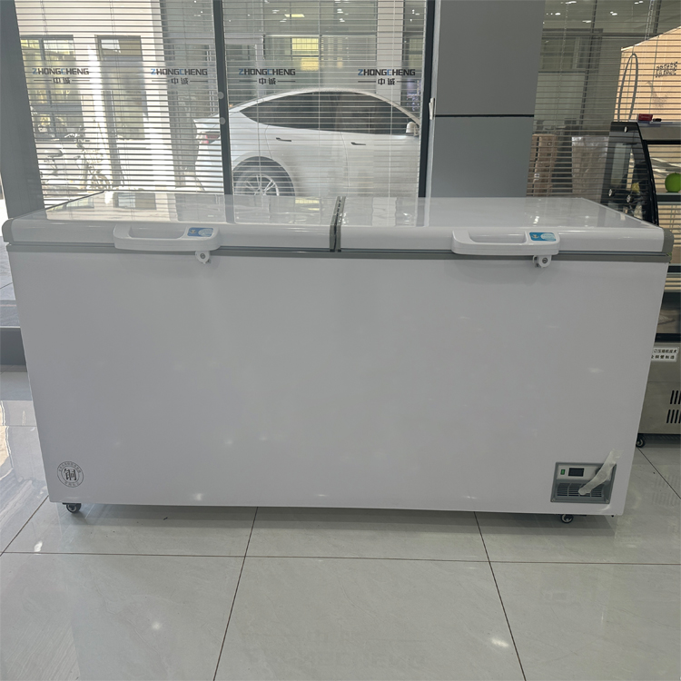 Brand New 718 Litre 2-Door Com - Commercial Chest Freezer ulasan dan harga