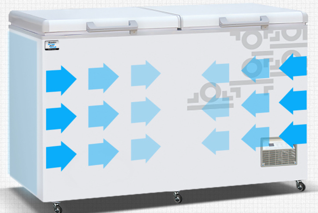 Hotel Restaurant Kitchen Equip - Commercial Chest Freezer ulasan dan harga