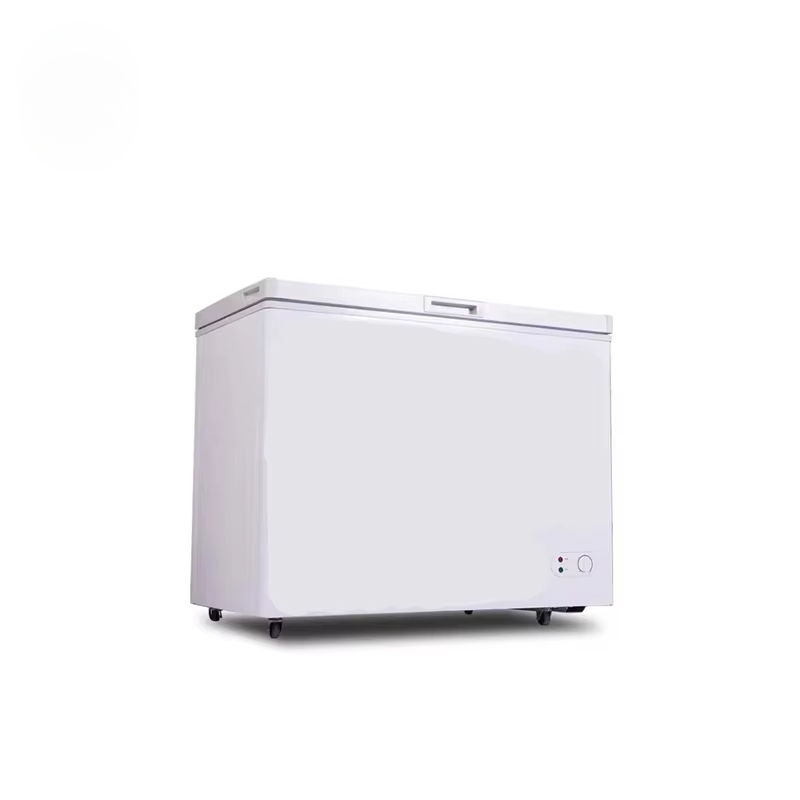 100~300 Liters Small Capacity  - Commercial Chest Freezer ulasan dan harga